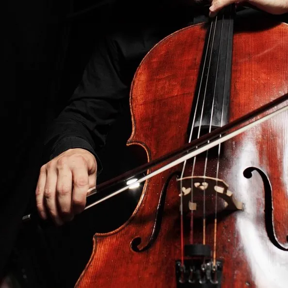 cello-521172_1280